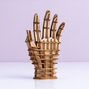 3D puzzel van hout – Hand