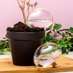 Bewateringsstenen van glas (set van 2)